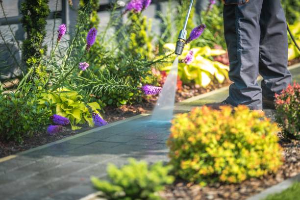 Best Winterizing Services  in Denison, TX